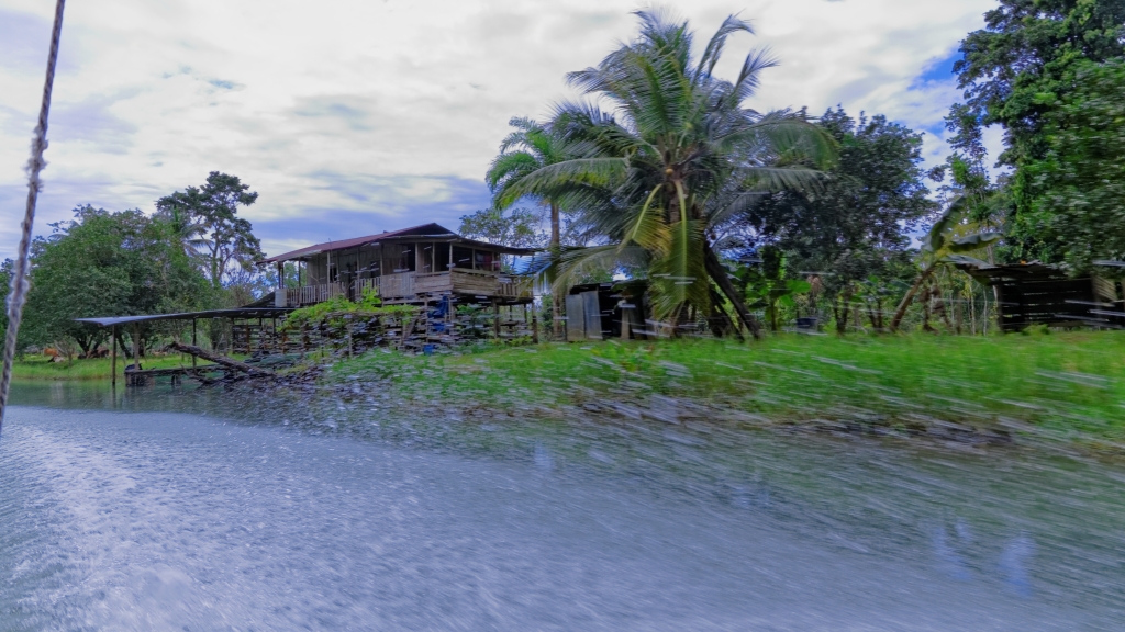 25 - Tortuguero NP (02).jpg